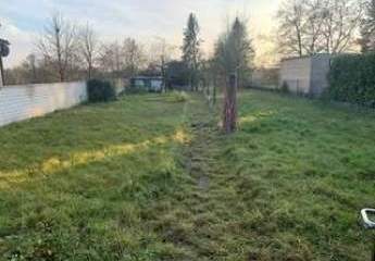 467197-Vorschaubild4