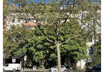 417006-Vorschaubild3