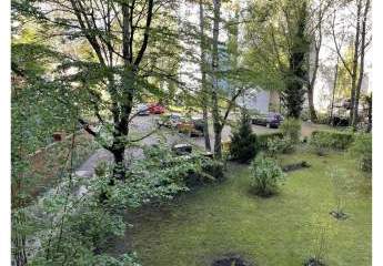 417006-Vorschaubild4