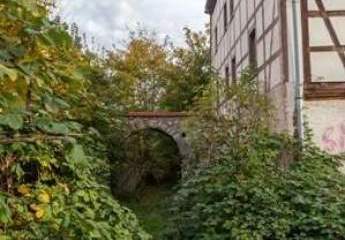 447462-Vorschaubild2