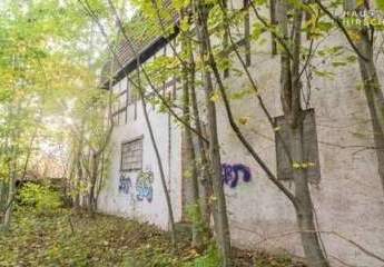 447462-Vorschaubild4