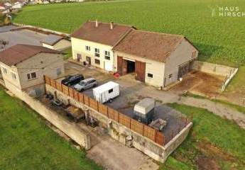 467487-Vorschaubild3