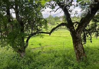 453773-Vorschaubild4