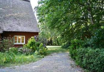 430577-Vorschaubild3