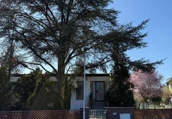 Bungalow mit großem Grundstück