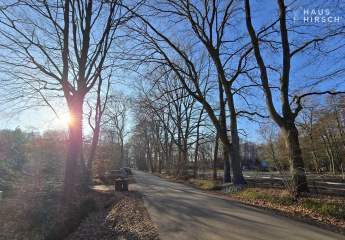 468629-Vorschaubild2