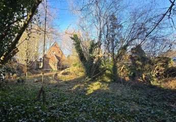 468629-Vorschaubild3