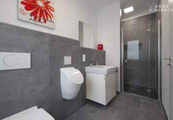 469573-Vorschaubild4