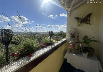 470172-Vorschaubild3