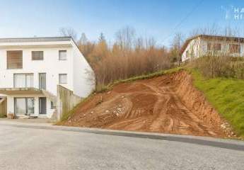 470474-Vorschaubild3