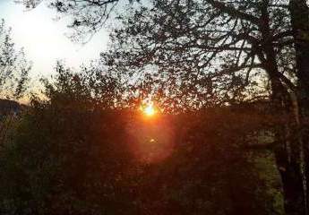 456571-Vorschaubild4