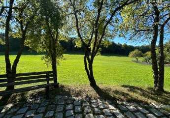 457700-Vorschaubild4