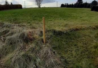 471155-Vorschaubild2