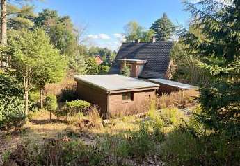 471232-Vorschaubild2