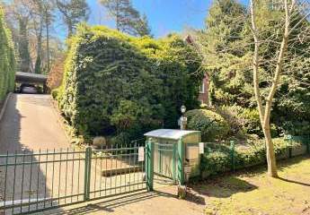 471232-Vorschaubild3