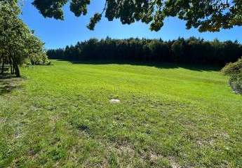 471697-Vorschaubild2