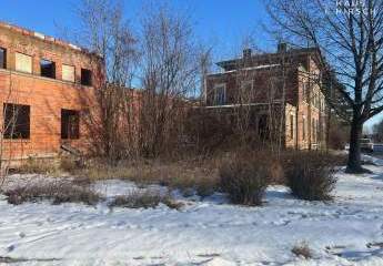 472104-Vorschaubild4