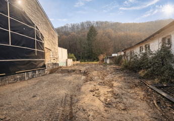 469636-Vorschaubild3