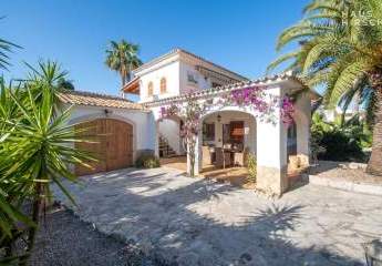 472560-Vorschaubild3