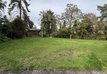 472934-Vorschaubild2