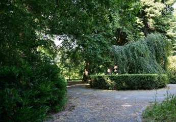 473119-Vorschaubild3