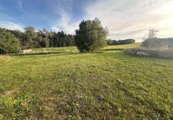 473198-Vorschaubild3