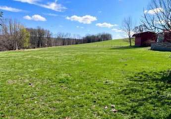 473198-Vorschaubild4