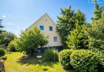 473237-Vorschaubild3