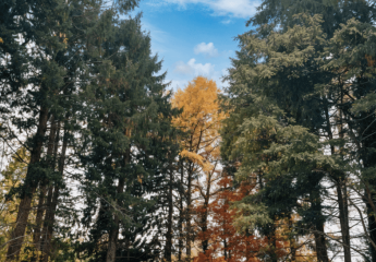 473271-Vorschaubild3