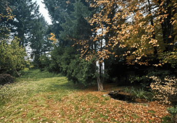 473386-Vorschaubild2