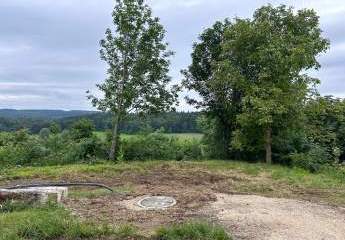 473425-Vorschaubild2