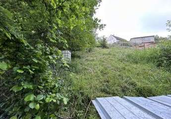 473425-Vorschaubild3