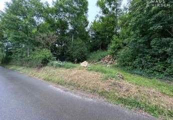 473425-Vorschaubild4