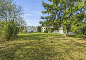 474187-Vorschaubild4