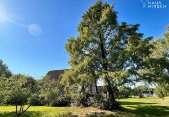 474398-Vorschaubild3