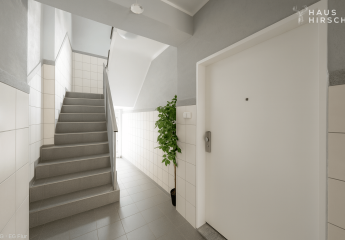 474700-Vorschaubild3