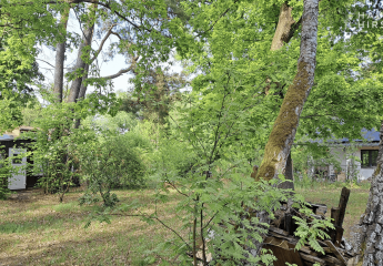 474833-Vorschaubild2