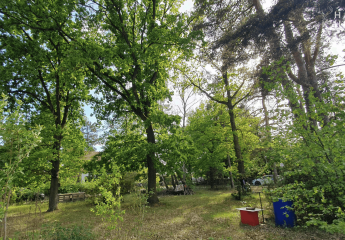 474833-Vorschaubild3