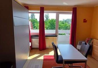 475009-Vorschaubild4