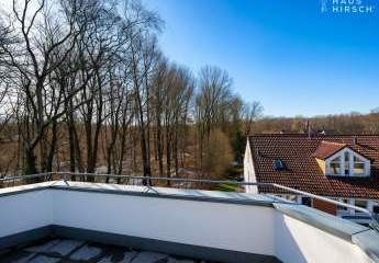 Ganz oben über zwei Ebenen - hell, grün und sonnig