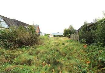 476066-Vorschaubild2