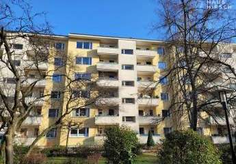 476097-Vorschaubild4