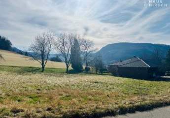 476128-Vorschaubild3