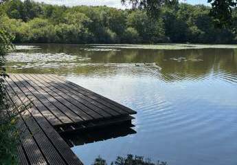 476875-Vorschaubild3