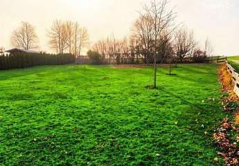 476970-Vorschaubild2