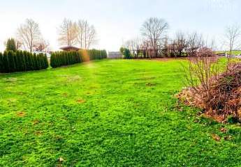 476970-Vorschaubild3