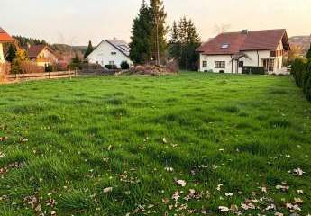 476970-Vorschaubild4