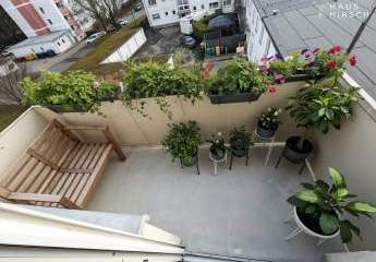 475776-Vorschaubild3