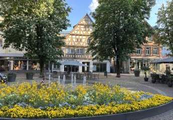 477844-Vorschaubild4