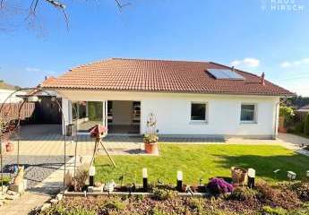 477927-Vorschaubild3